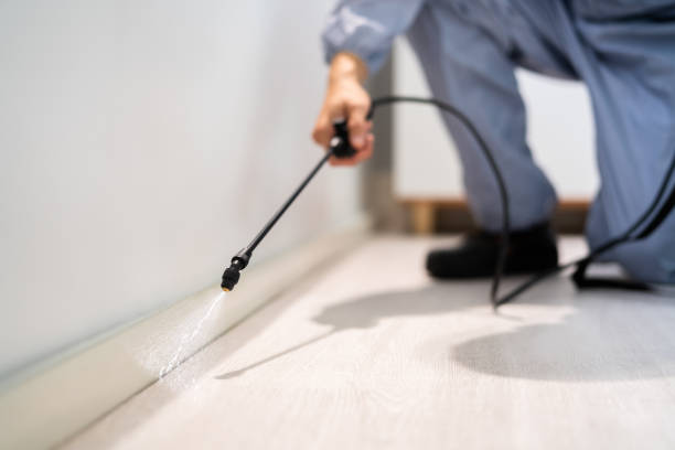 Licensed Cockroach Control service in Decatur, IL - Nex Pest Control