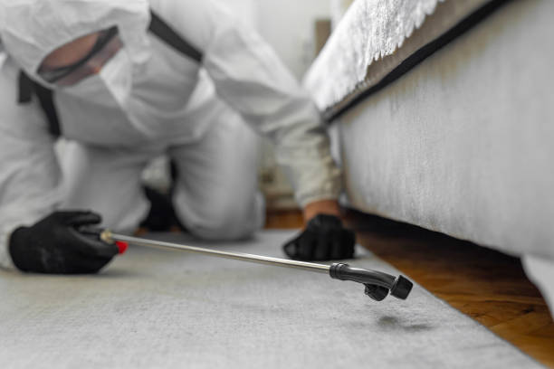 Professional Cockroach Control technician working in Decatur, IL