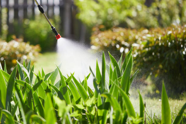 24/7 Emergency Cockroach Control experts in Decatur, IL
