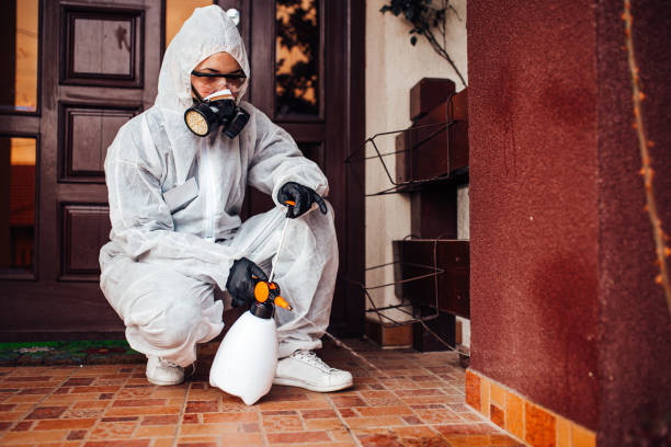 Reliable Cockroach Control contractor in Decatur, IL by Nex Pest Control